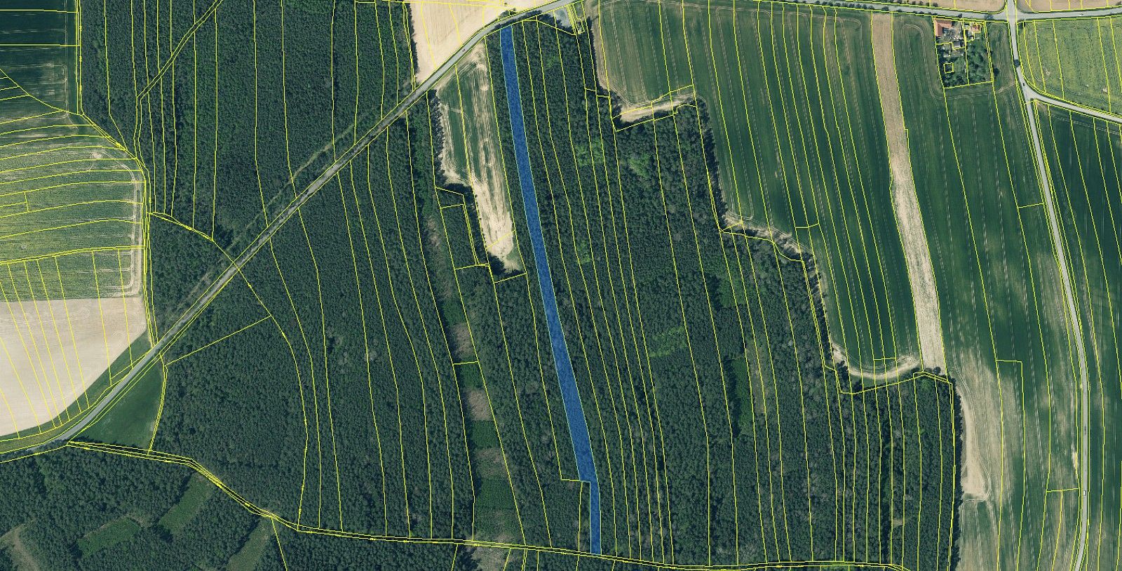 Prodej les - Dolany - Nýřany - 5