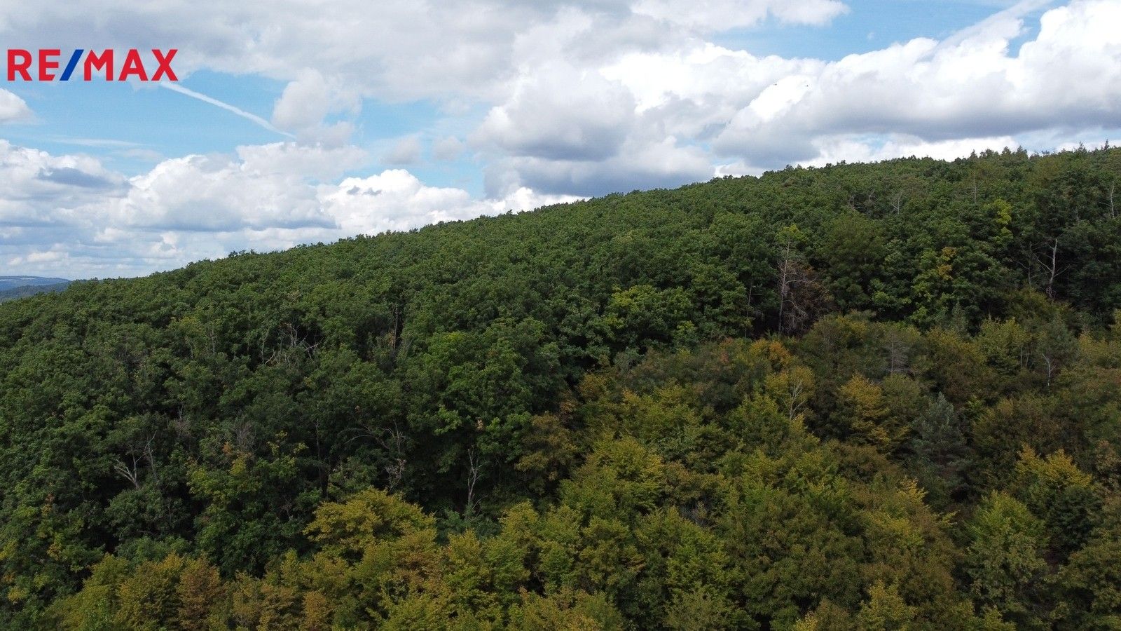 Lesy, Lelekovice, 22 m²