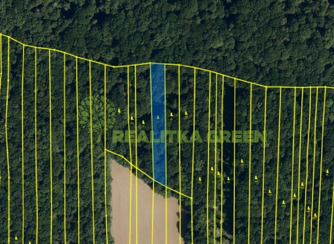 Lesy, Lhotka, Hradčovice, 1 887 m²