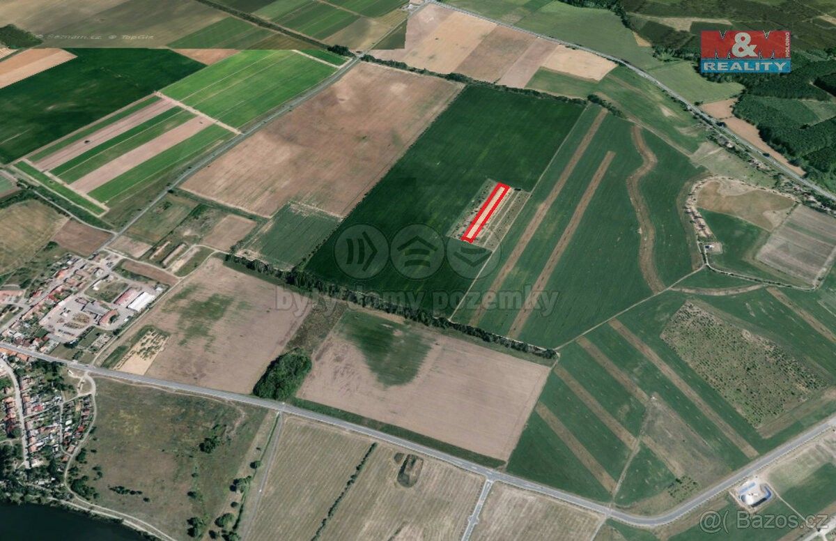 Zemědělské pozemky, Pasohlávky, 691 22, 5 910 m²