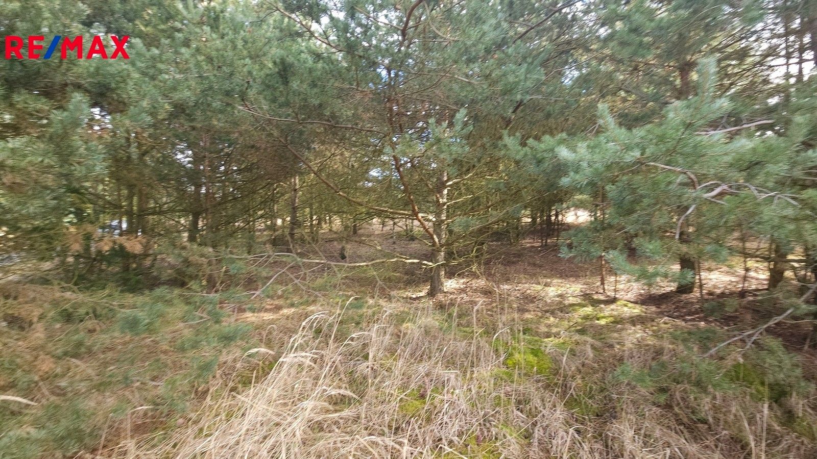 Prodej pozemek pro bydlení - Olešná, 1 m²