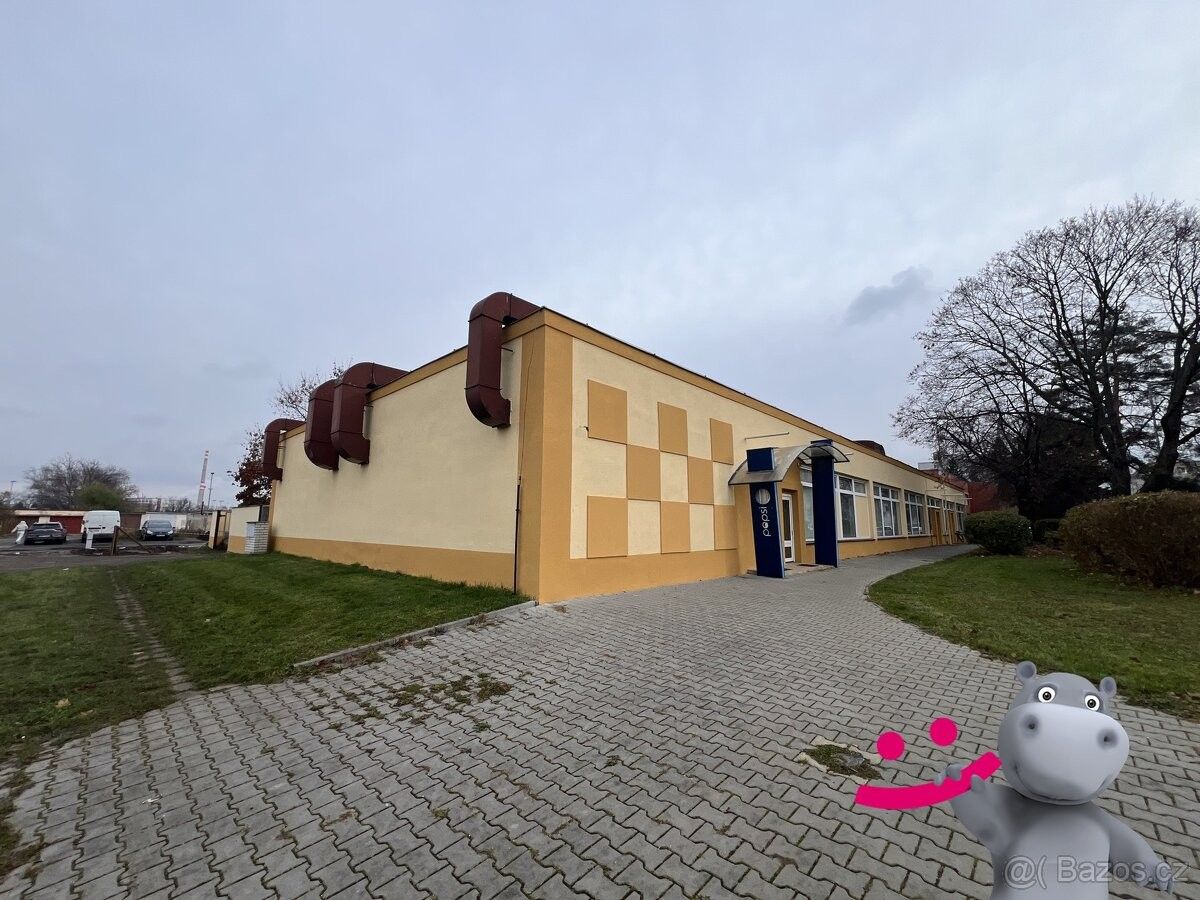 Prodej obchodní prostory - Kralupy nad Vltavou, 278 01