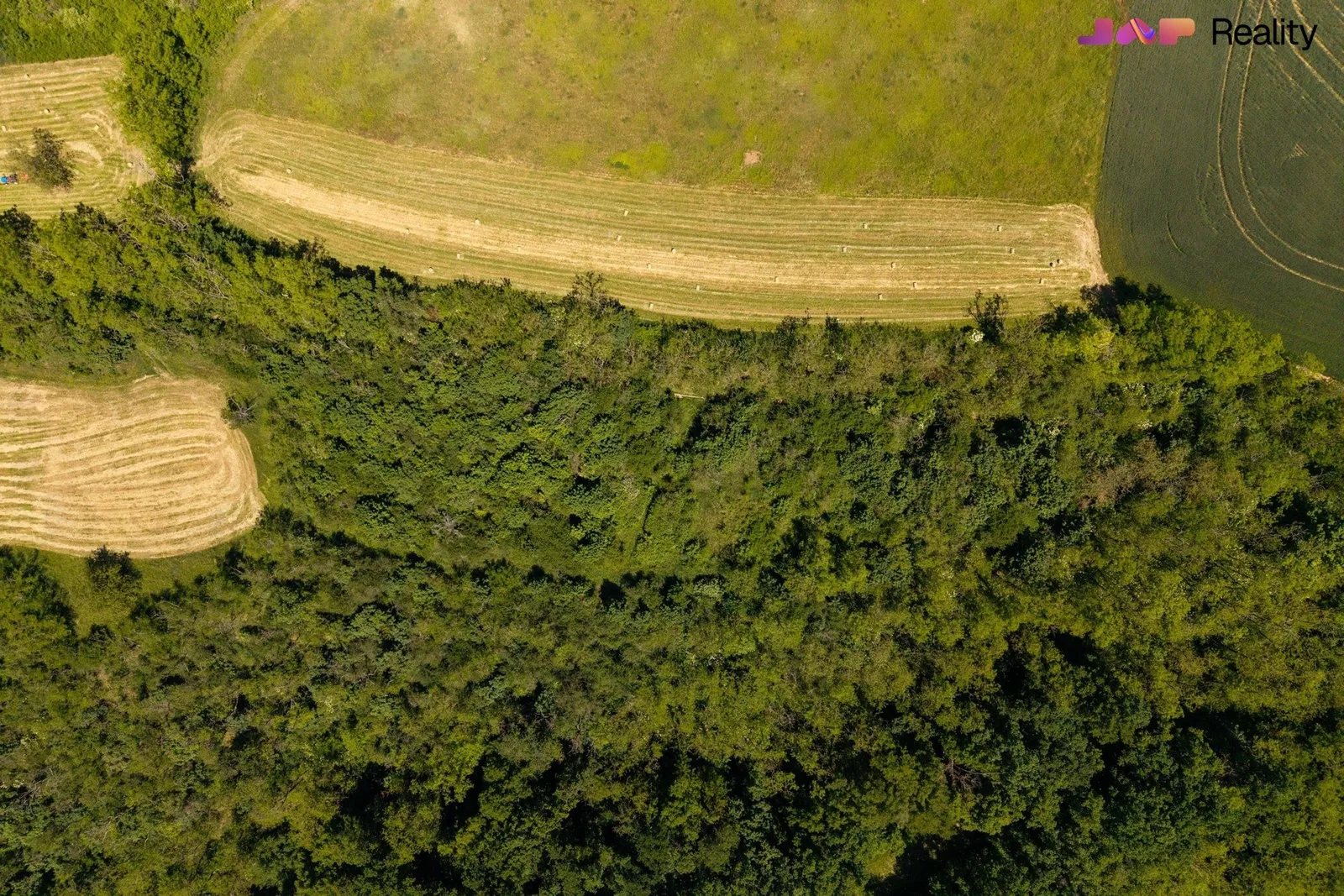 Ostatní