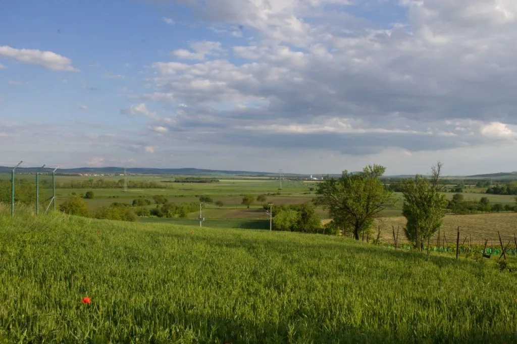 Ostatní