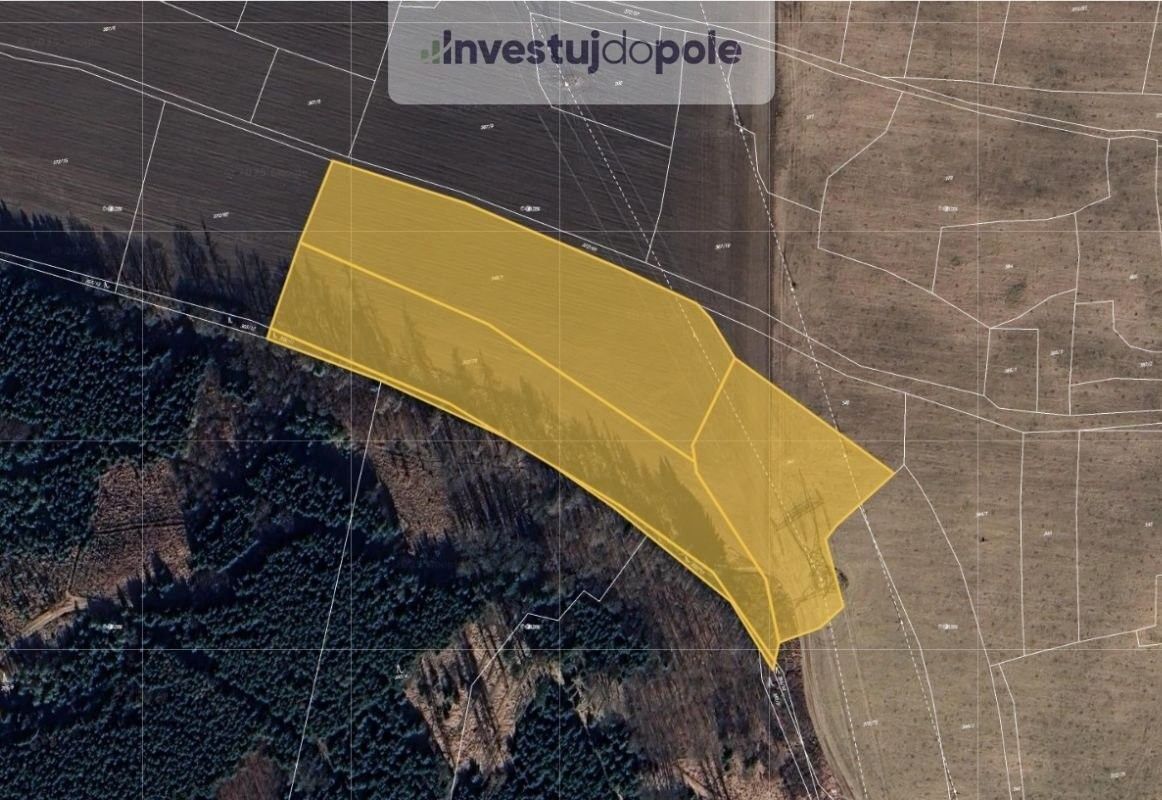 Prodej zemědělský pozemek - Blovice, 8 545 m²