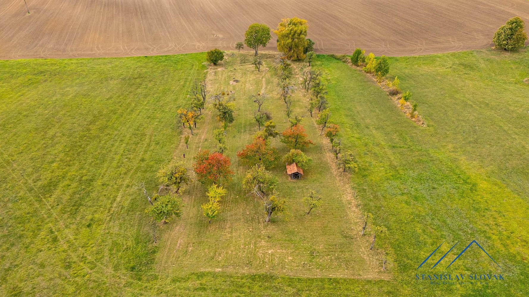 Zahrada · Starý Jičín - Janovice, okres Nový Jičín - 3