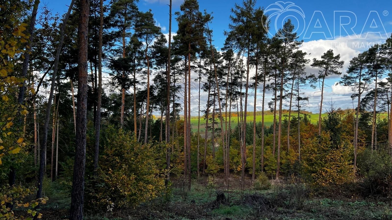 Lesy, Štěchovice, 8 m²