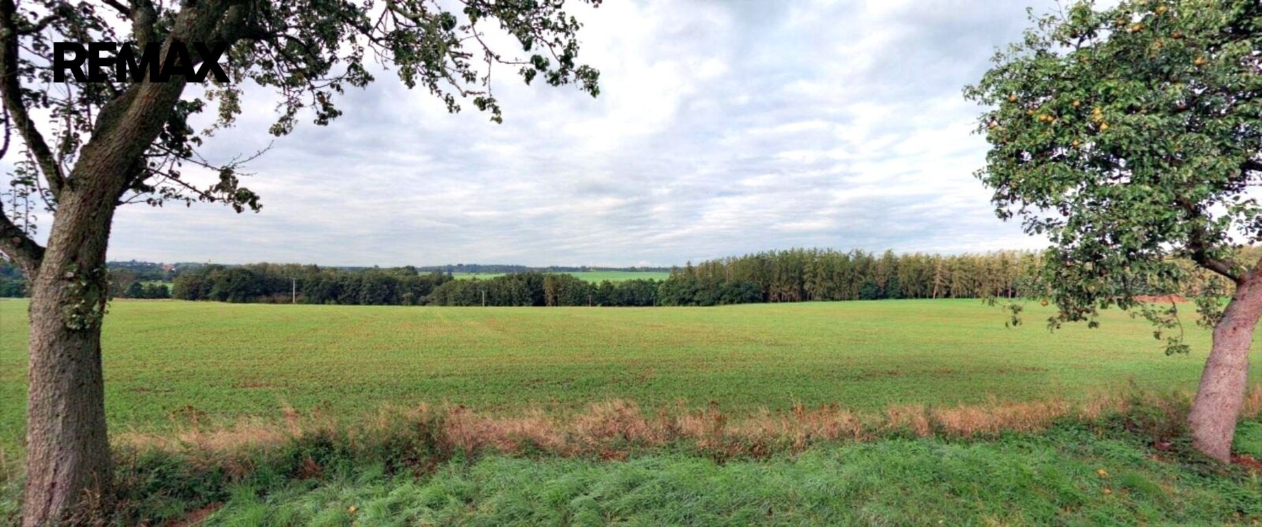 Zemědělský pozemek · 22 505 m² · Úmonín - 3
