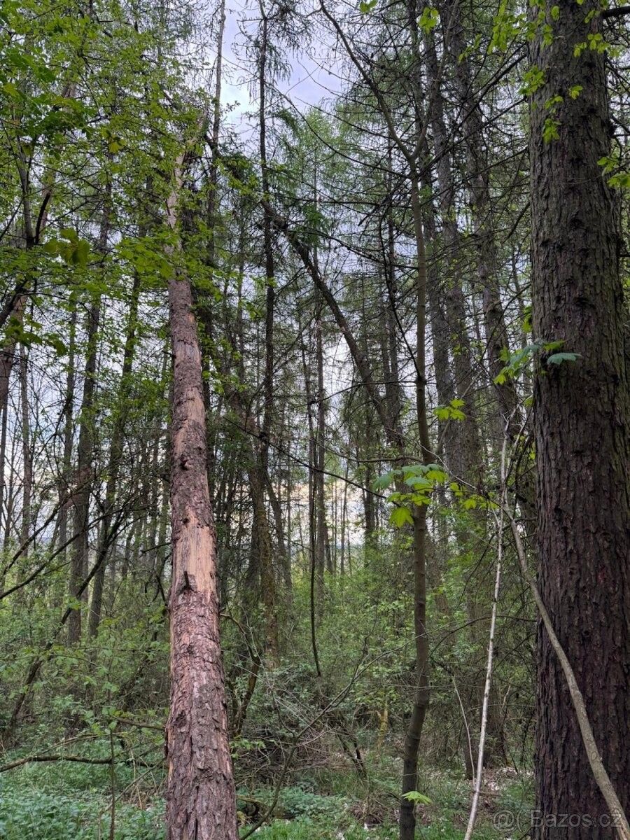 Prodej pozemek pro bydlení - Milevsko, 399 01