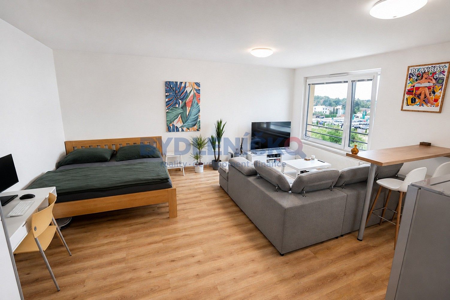 1+kk, České Budějovice - České Budějovice 2, Jihočeský kraj, 45 m²