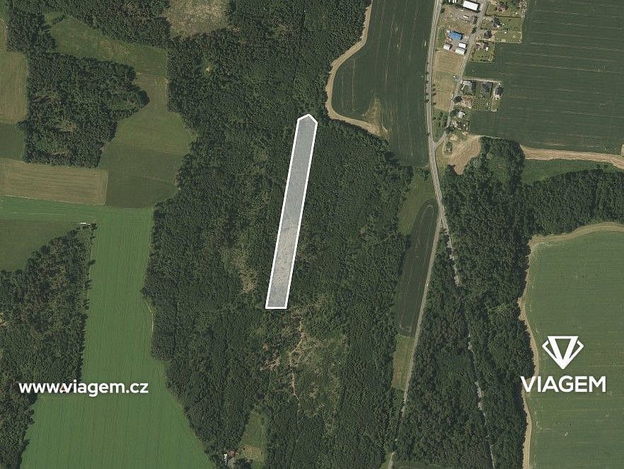 Prodej les - Březová, okres Opava, Moravskoslezský kraj - 1