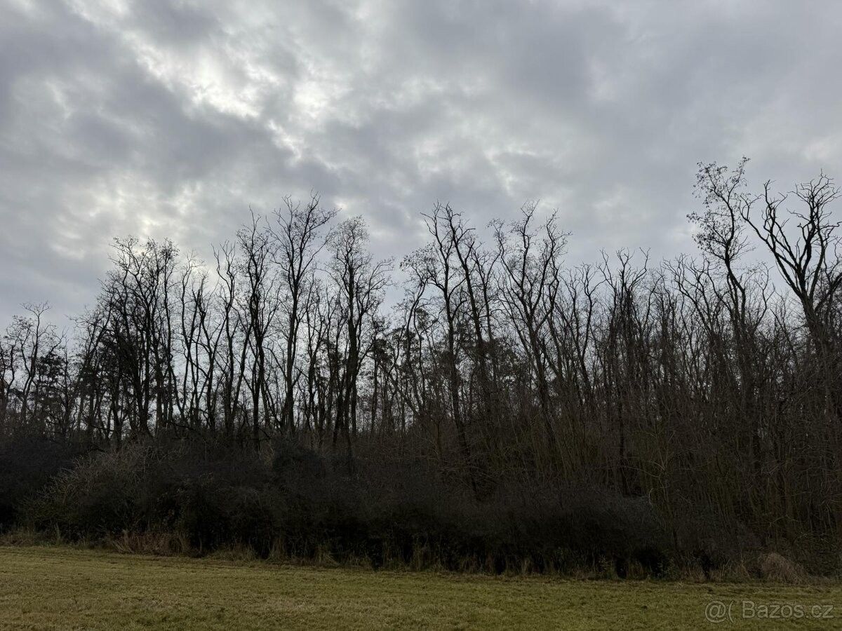 Prodej pozemek pro bydlení - Moravský Krumlov, 672 01