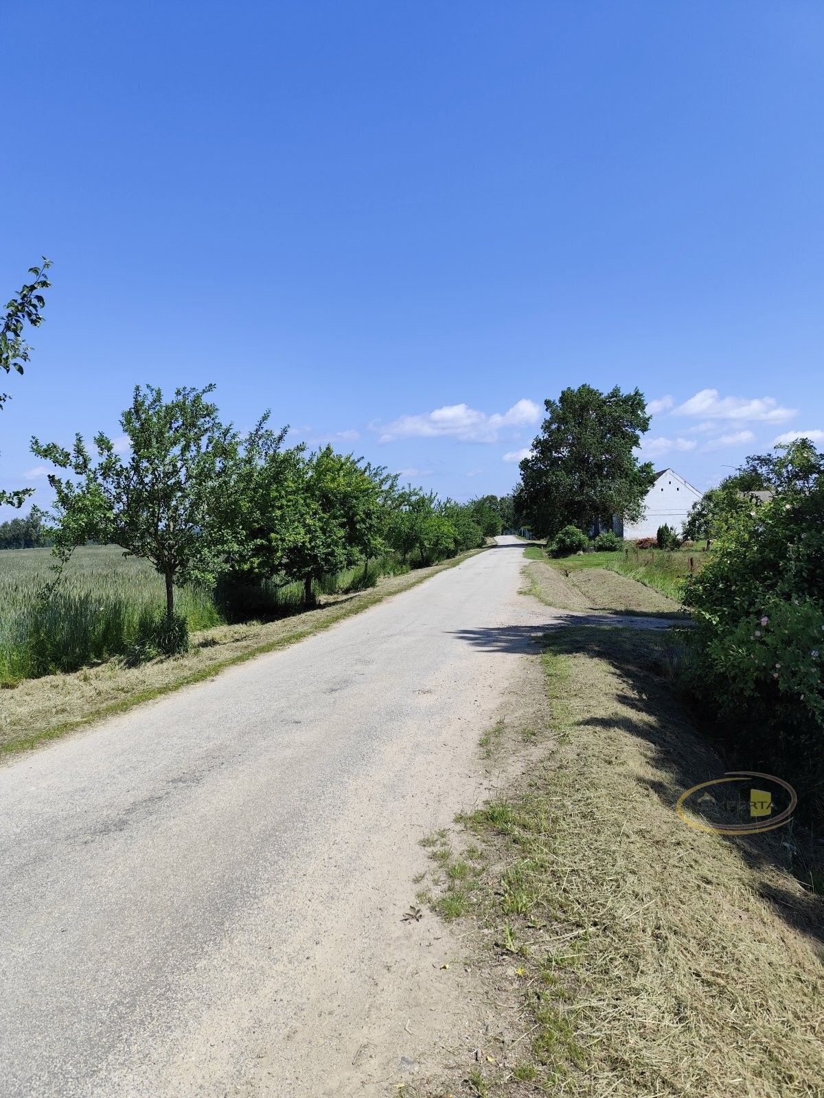 Pozemek pro bydlení · 1 176 m² · Borovany Třebeč - 4