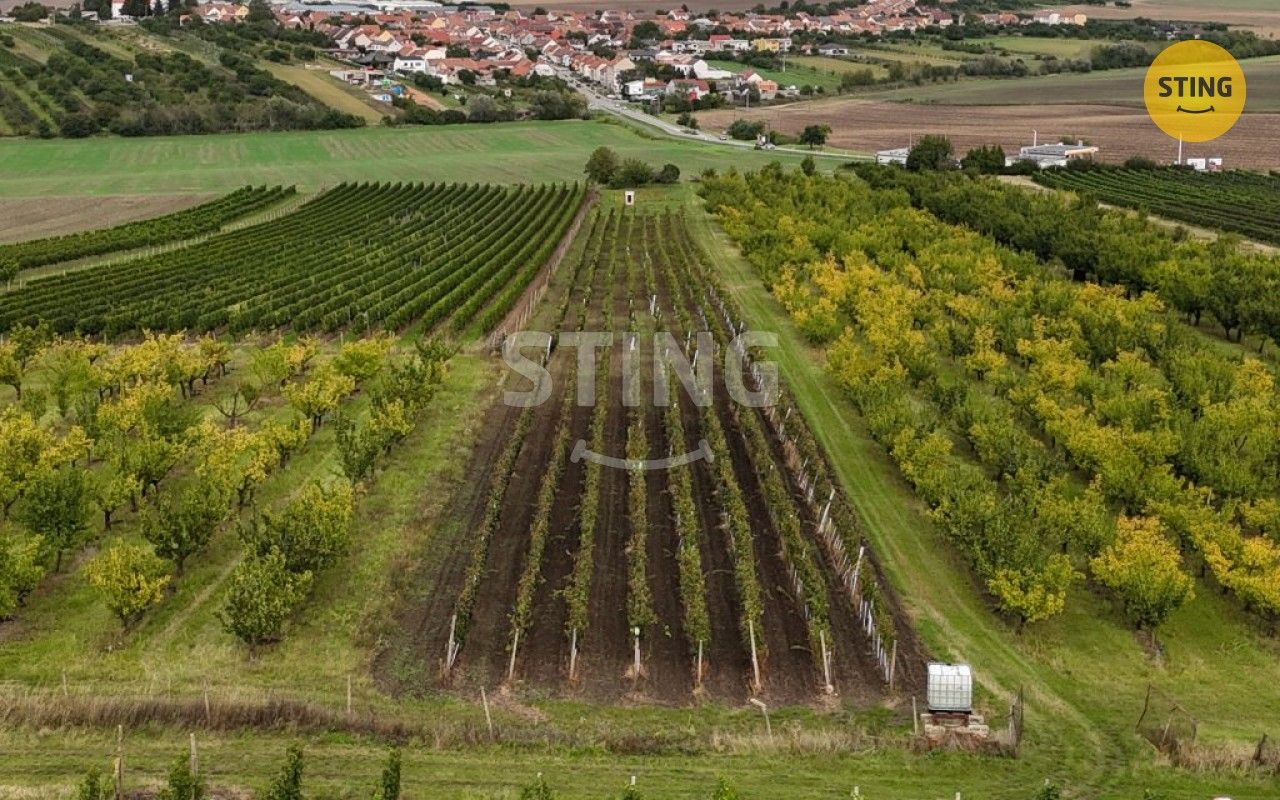 Ostatní, Velké Pavlovice, 5 412 m²