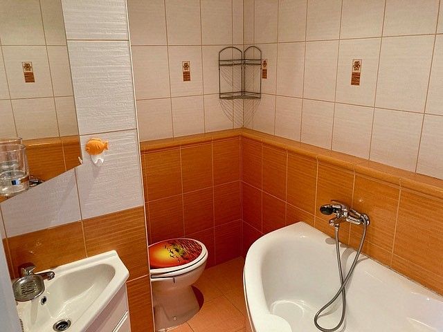 Pronájem byt 1+kk - Třeboň, okres Jindřichův Hradec, Jihočeský kraj, 24 m² - 5
