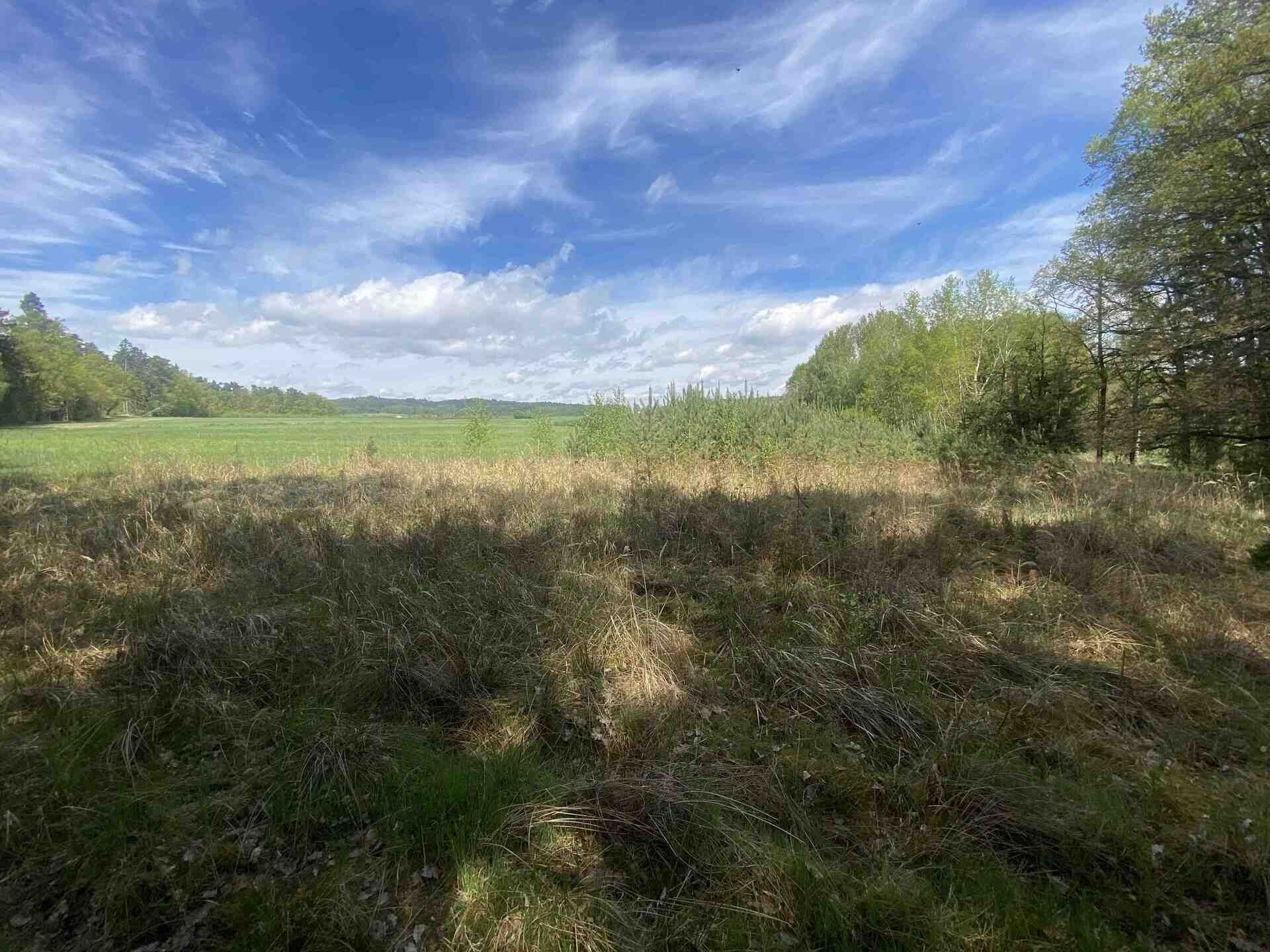 Zemědělské pozemky, Malovice, 5 875 m² - 2