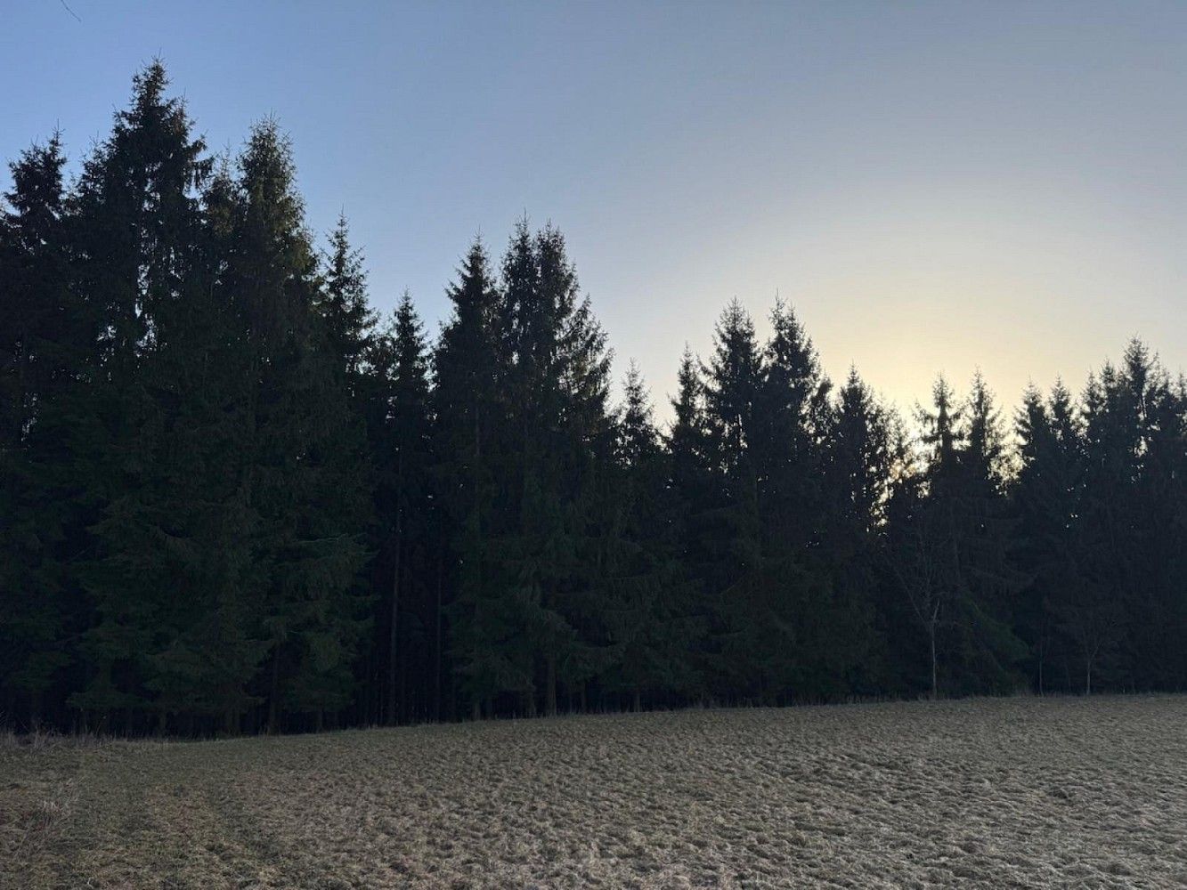 Prodej les - Stará Paka - Císařský, okres Jičín, Královéhradecký kraj - 2