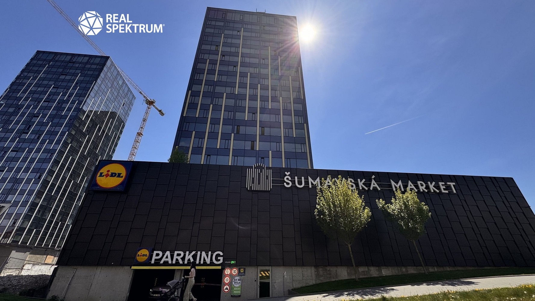 Pronájem kancelář - Šumavská, Brno - Veveří, 280 m² - 5