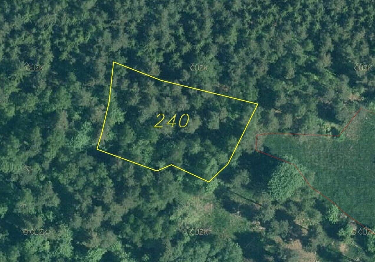 Pozemek · 4 999 m² · Rejštejn - 3