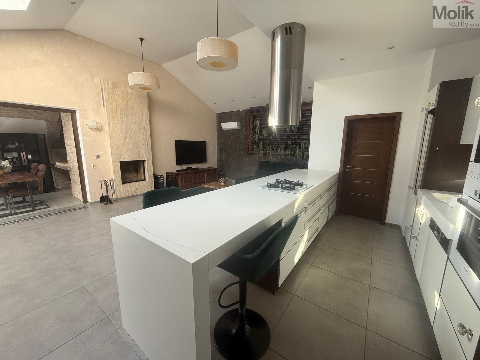 Rodinný dům · 700 m² · Lesní stezka, Háj u Duchcova - 4