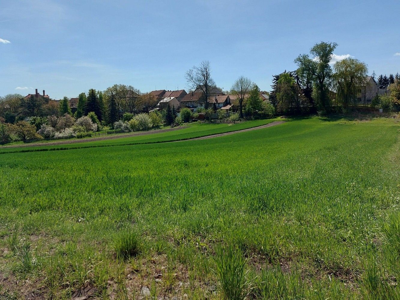 Prodej pozemek pro bydlení - Panenský Týnec, okres Louny, Ústecký kraj - 2