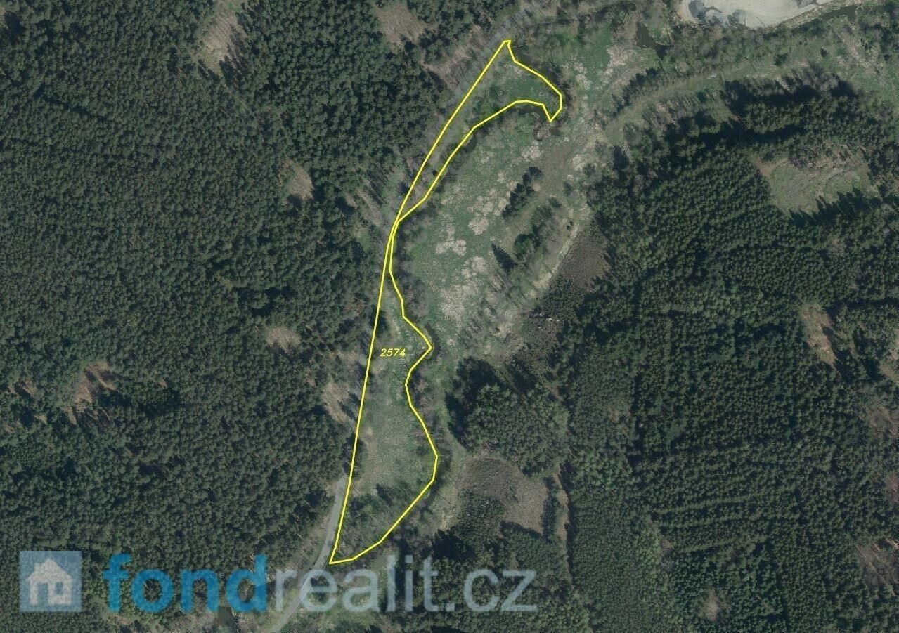 Zemědělský pozemek · 42 411 m² · Kladruby - 4