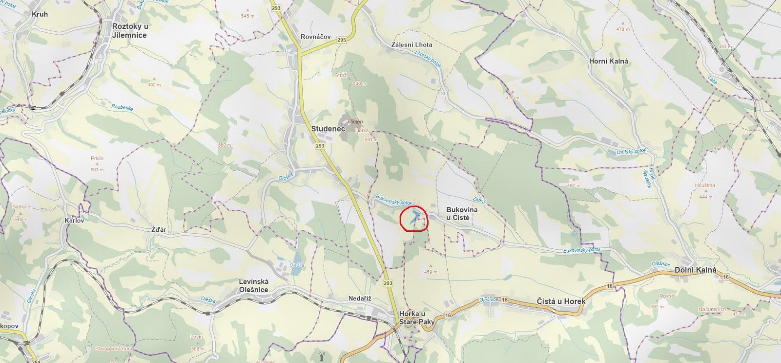 Les · Bukovina u Čisté - Dražeň, okres Semily, Liberecký kraj - 3