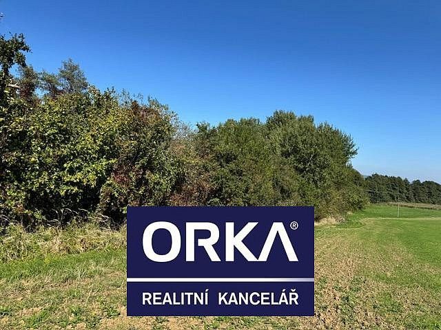 Louka · Veselíčko, okres Přerov, Olomoucký kraj - 3