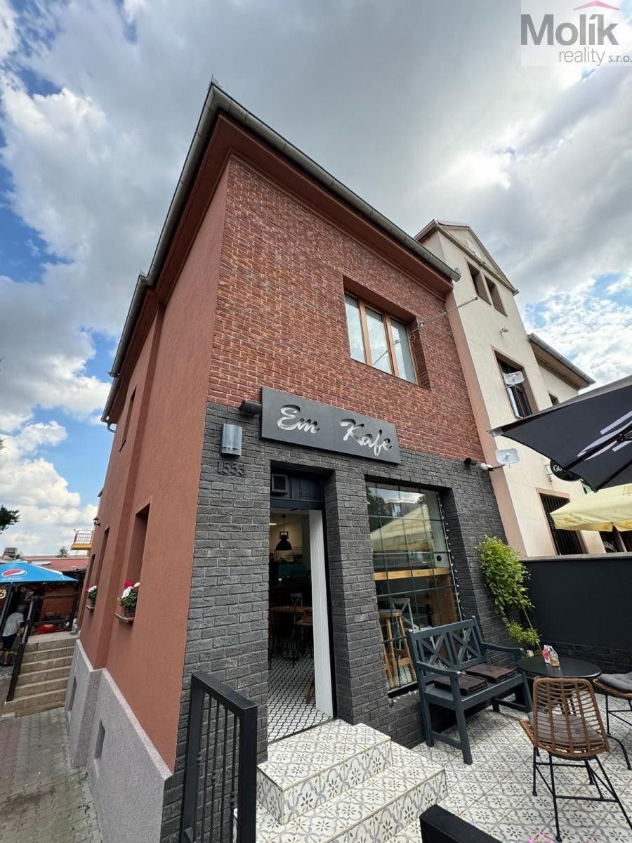 1+1, J. Š. Baara, Most, 31 m²