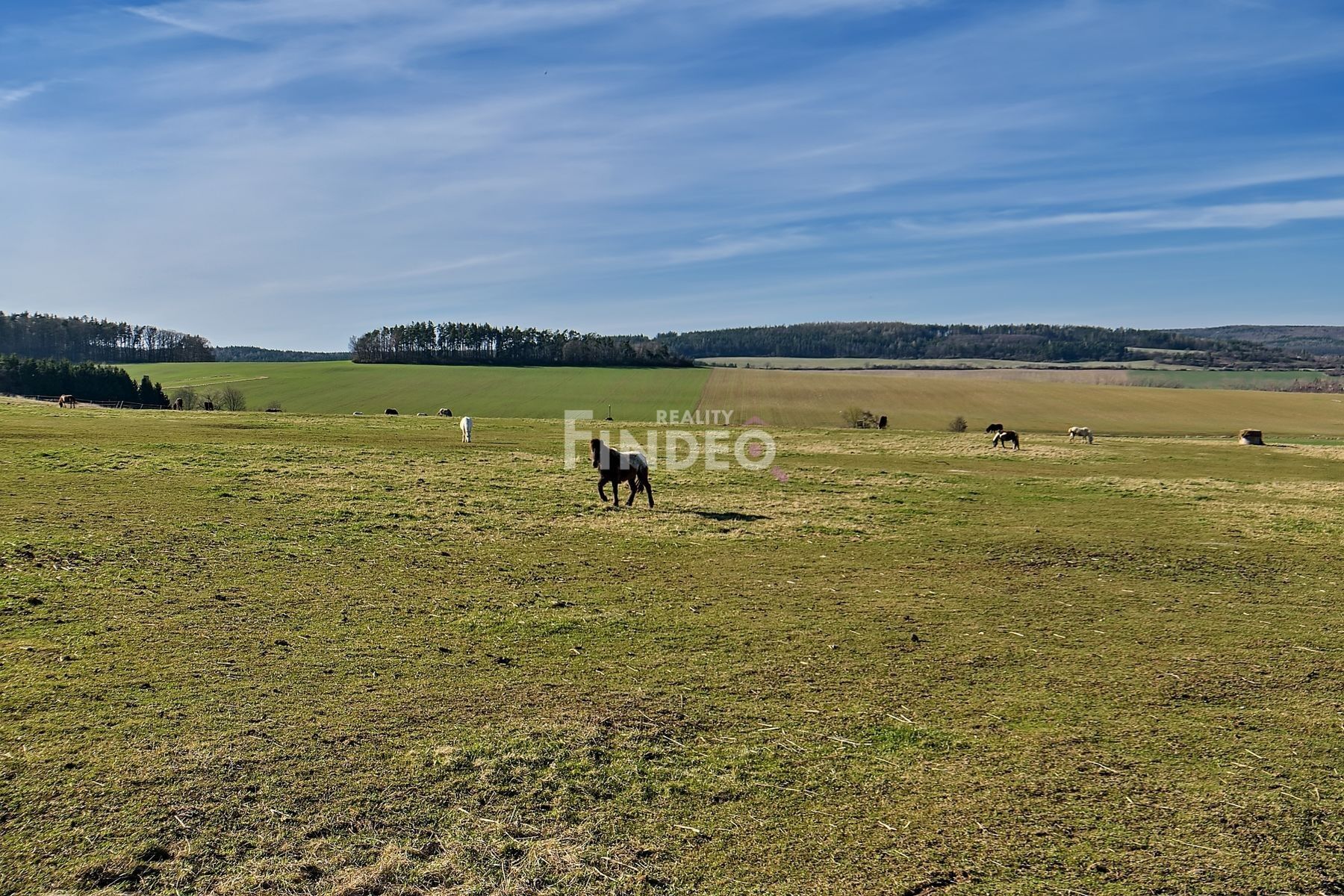 Zemědělský pozemek · 2 165 m² · Újezd - 4