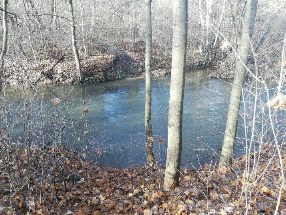 Zahrady, Olomouc, 779 00