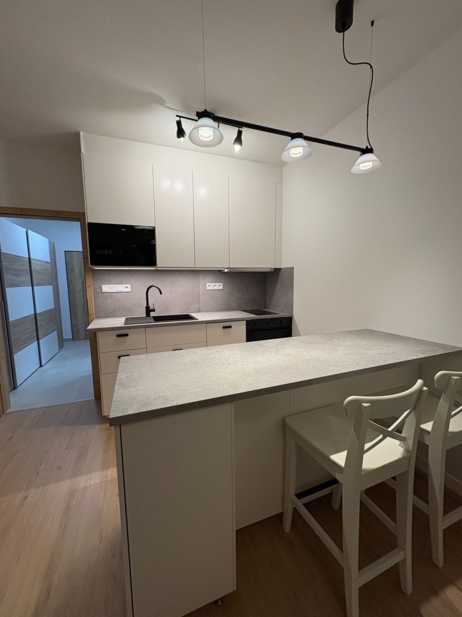 1+kk, Železná, Plzeň - Plzeň, Plzeňský kraj, 31 m² - 2