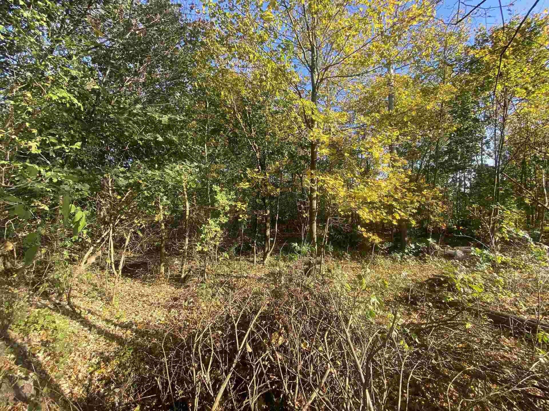 Prodej pozemek pro bydlení - Zdislava, 1 m²