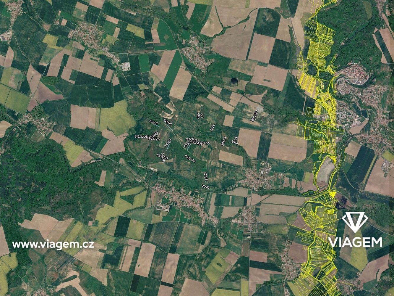 Les · Rybníky, okres Znojmo, Jihomoravský kraj - 4