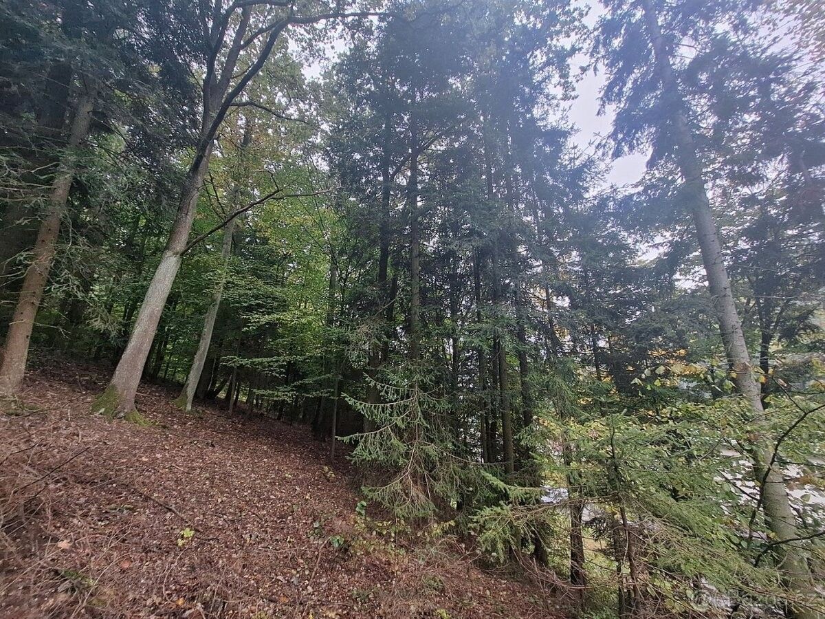Pozemky pro bydlení, Nové Město nad Metují, 549 01 - 2