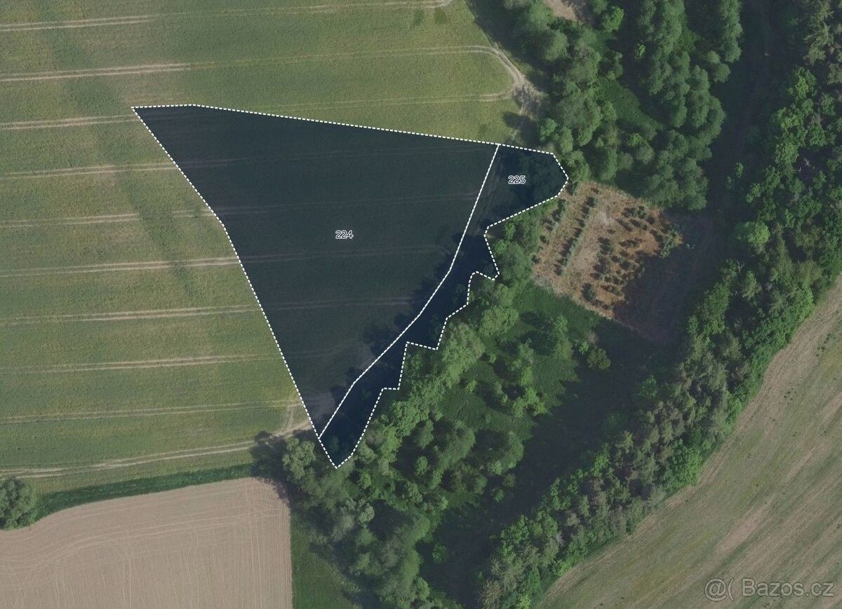 Prodej pozemek pro bydlení - Barchovice, 281 63