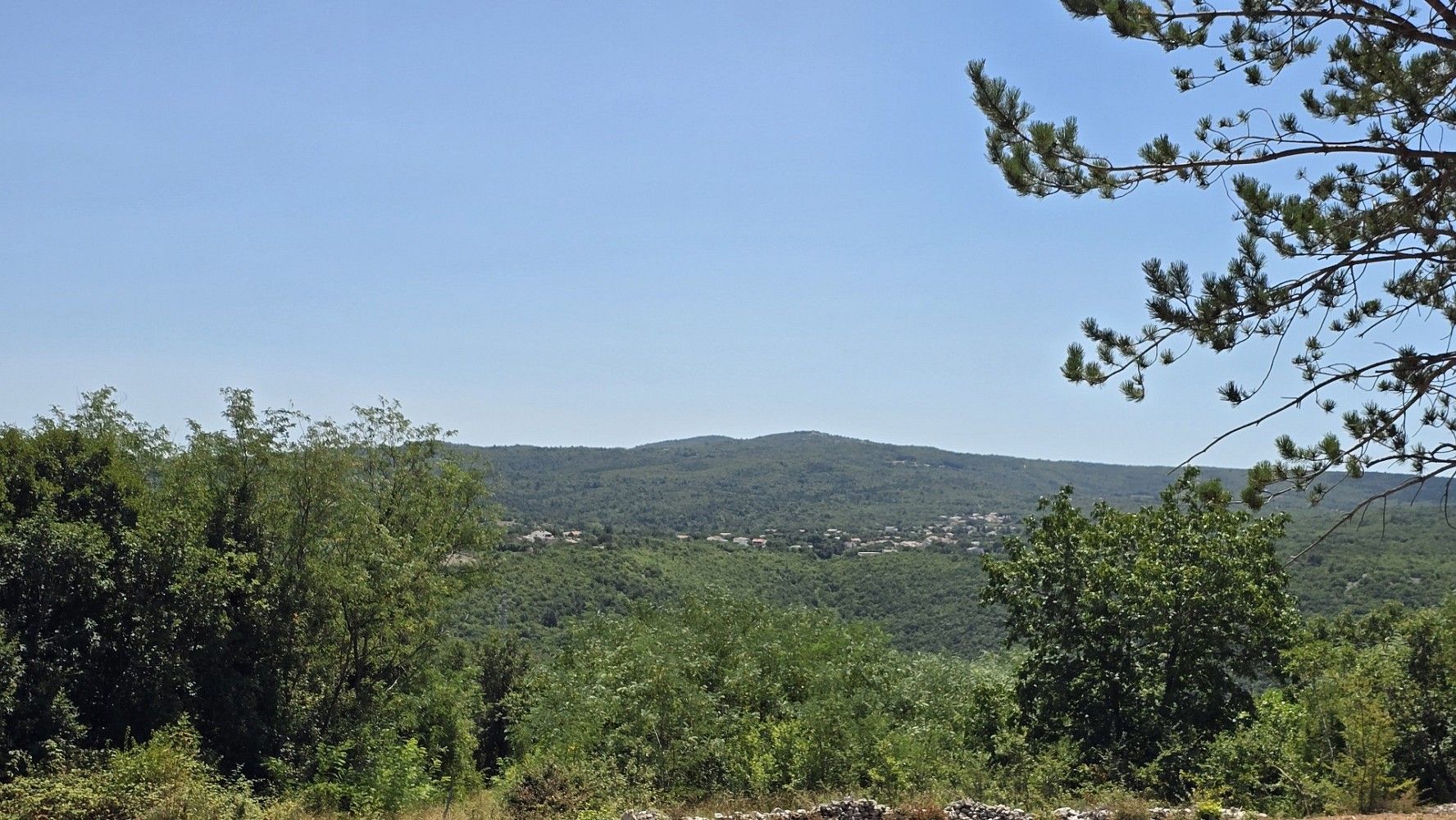 Pozemek pro bydlení, 1 241 m²