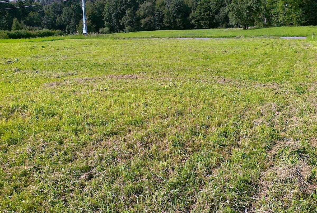 Pozemky pro bydlení, 987 66, Zahraničí