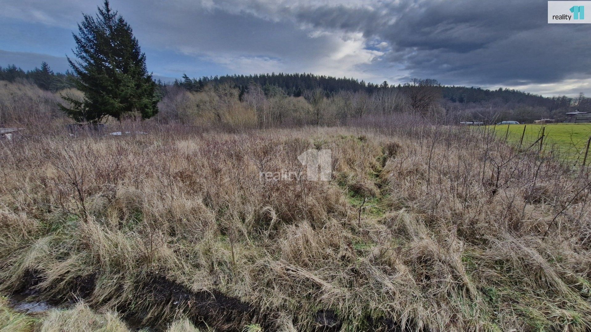 Prodej pozemek pro bydlení - Zlatá, Kynšperk nad Ohří, 2 983 m²