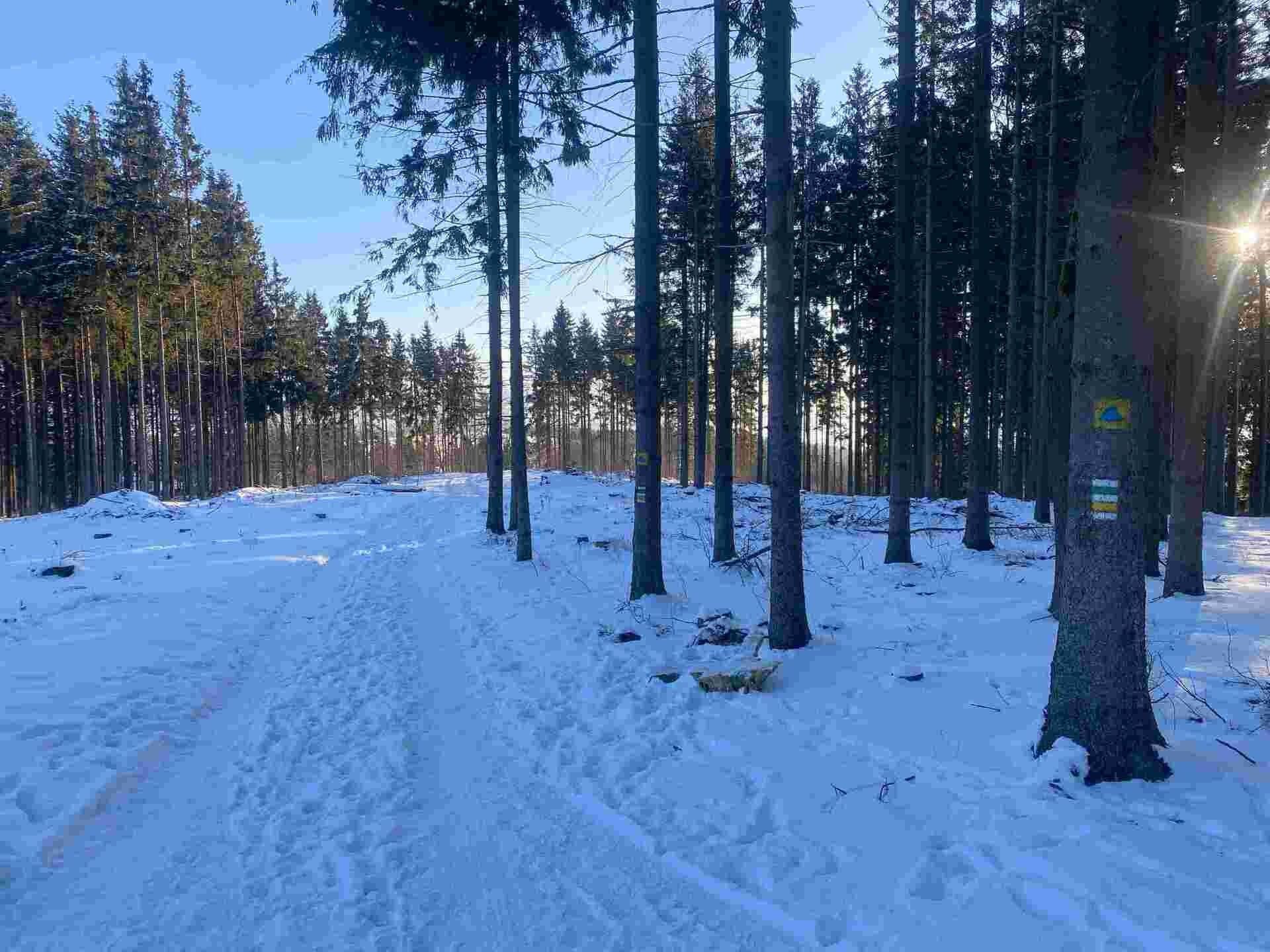 Pozemek · 1 080 m² · Frýdštejn - 4