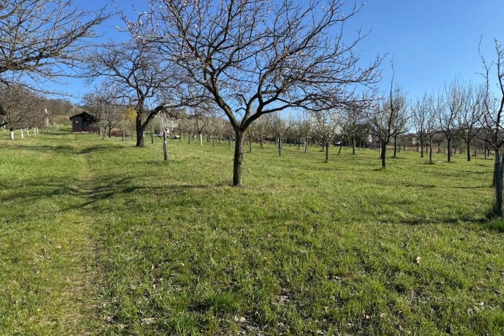 Zemědělské pozemky, Strážnice