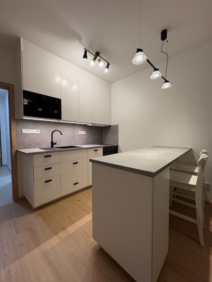 Pronájem byt 1+kk - Železná, Plzeň - Plzeň, Plzeňský kraj, 31 m² - 5