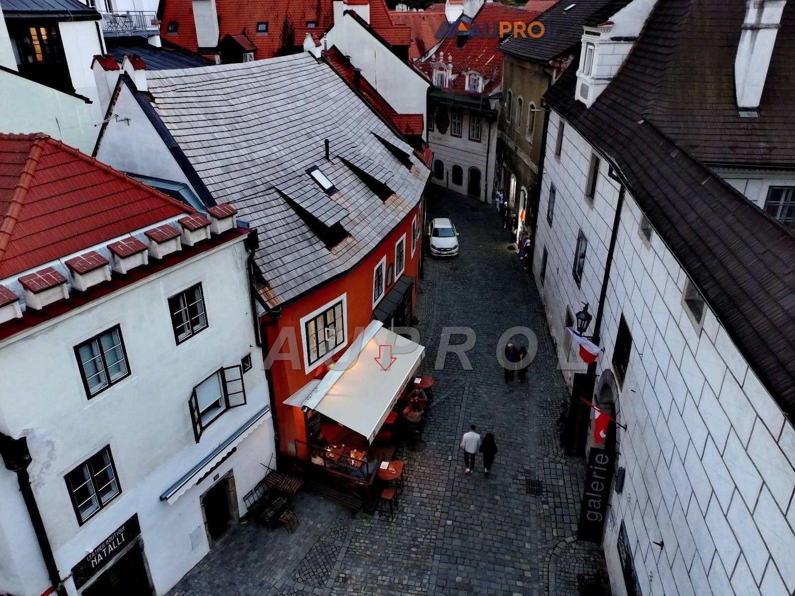 Prodej ubytovací zařízení - Široká, Český Krumlov, 400 m²