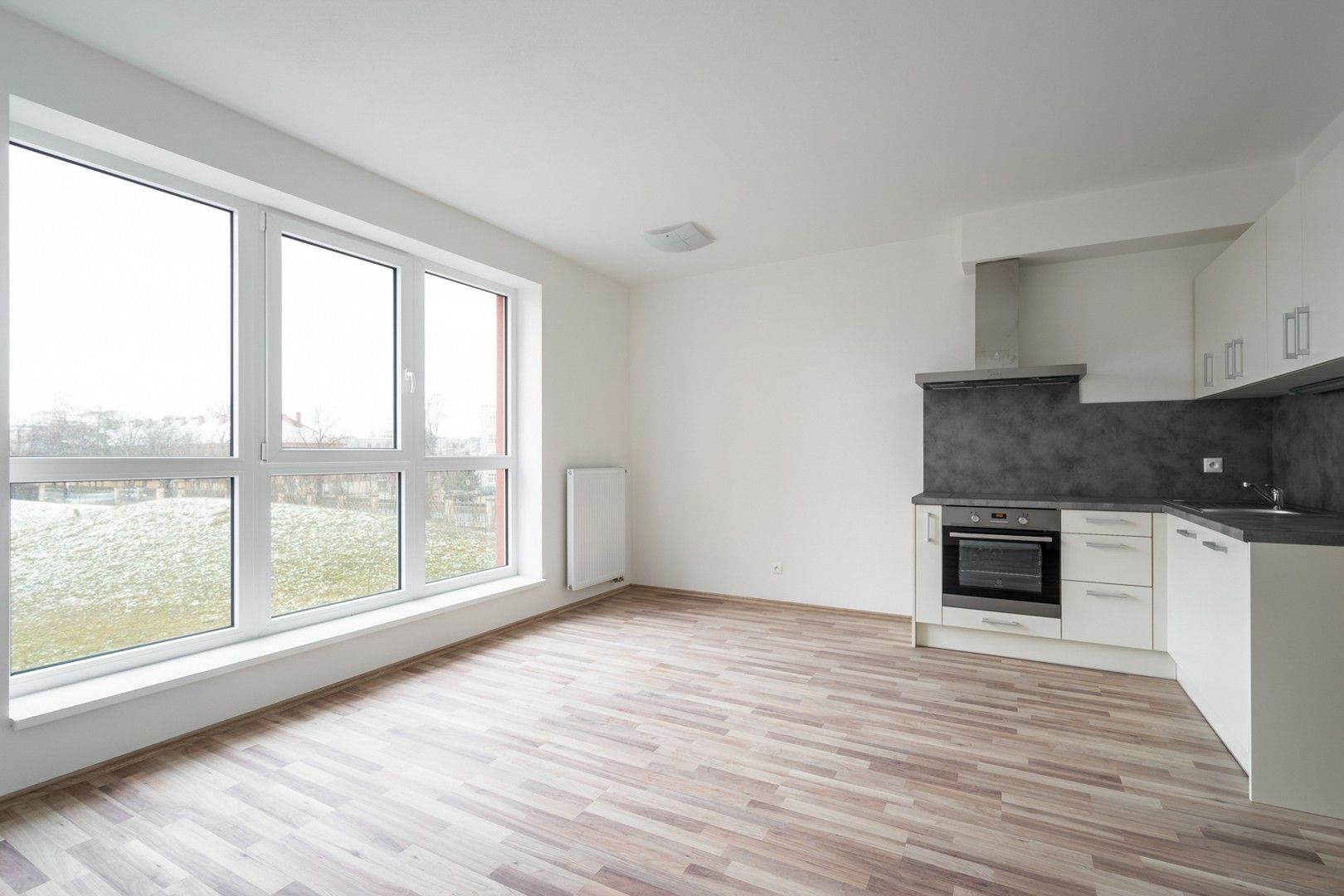 1+kk, U Borských kasáren, Plzeň, 35 m²