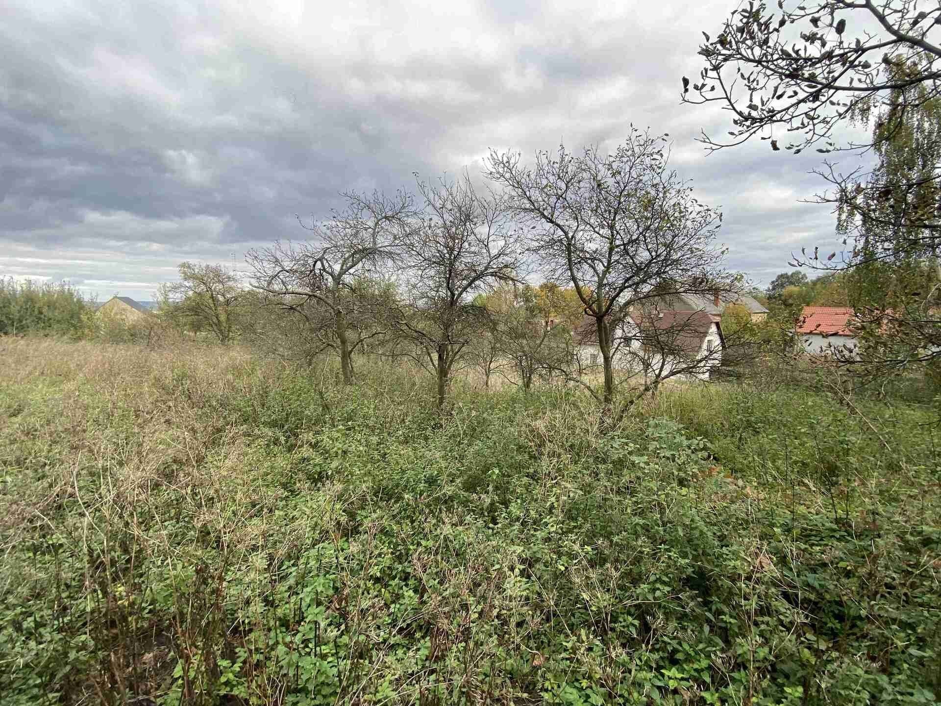 Prodej pozemek pro bydlení - Horní Hoštice, Javorník, 1 m²