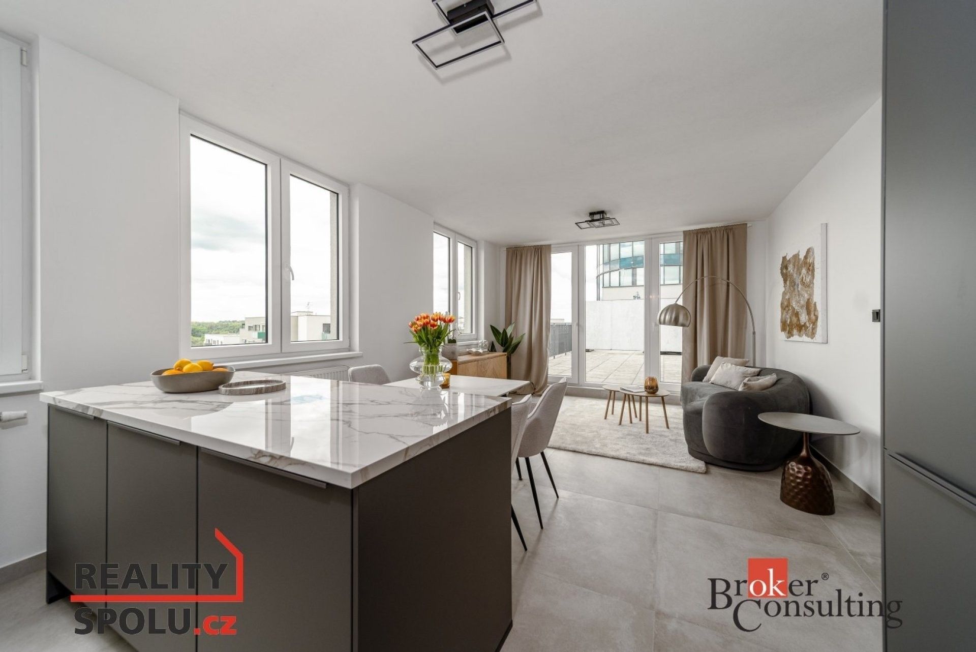 4+kk, Nepomucká, Plzeň, 190 m²