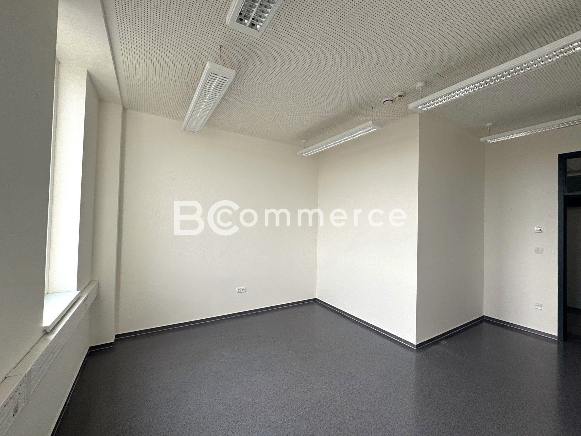 Kancelář · 18 m² · Štýřice, Brno - 4