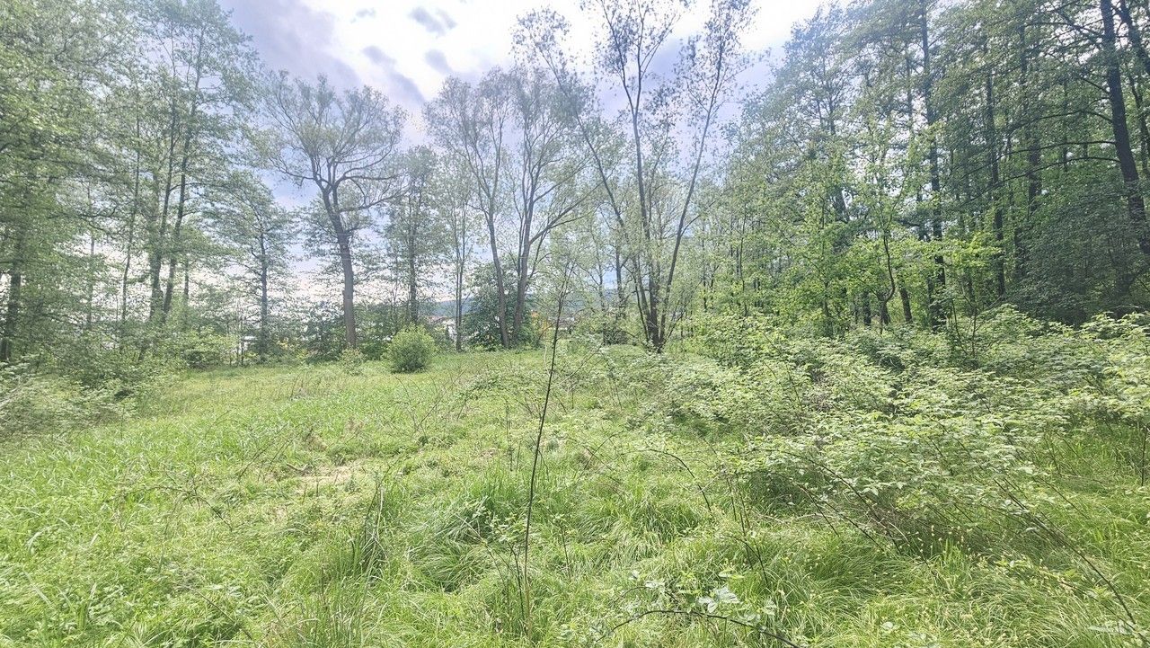 Pozemek · 9 589 m² · Malodoubská 43, Liberec XXIII-Doubí - 4