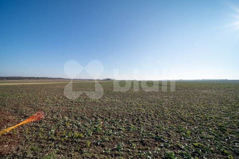 Prodej pozemek pro bydlení - Dražkovice, Pardubice