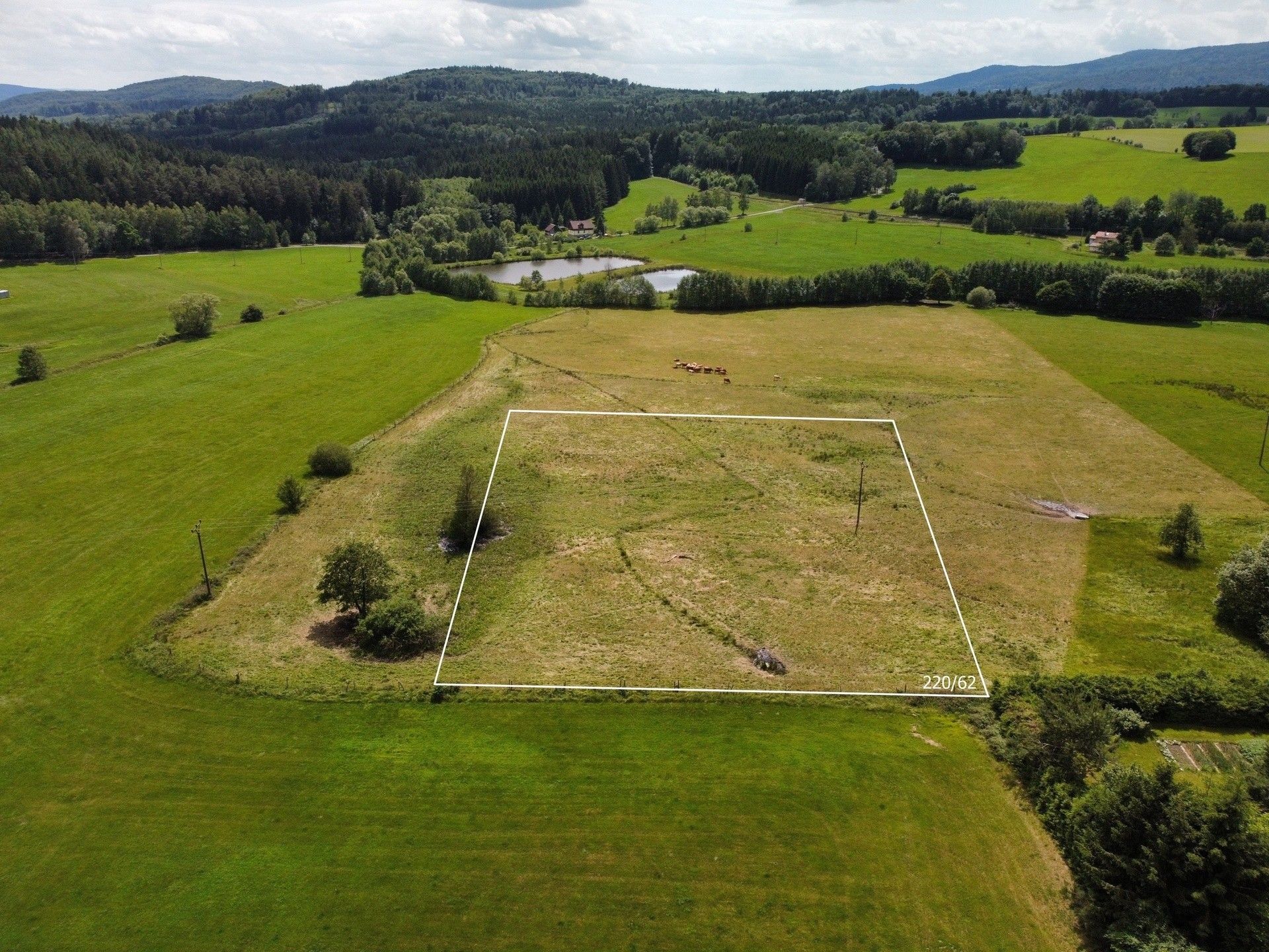 Prodej pozemek pro bydlení - Česká Kubice Starý Spálenec - 1